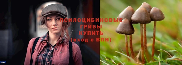 гашиш Абаза